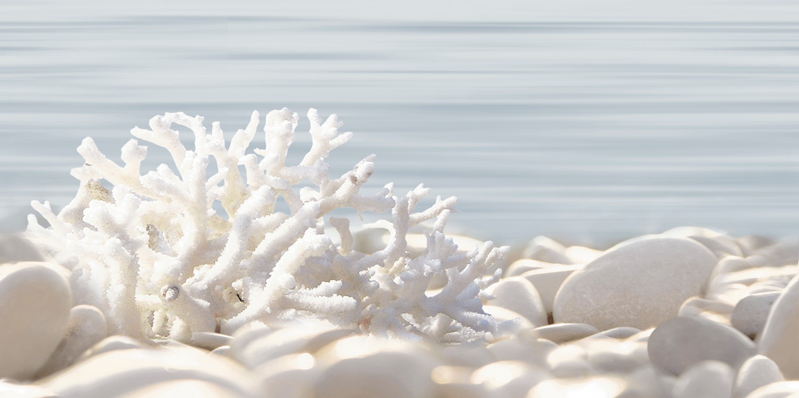 Декор Alma Ceramica Del Mare DWU09DLM624 25x50 7мм глянцевая Декор Alma Ceramica Del Mare DWU09DLM624 25x50 7мм глянцевая