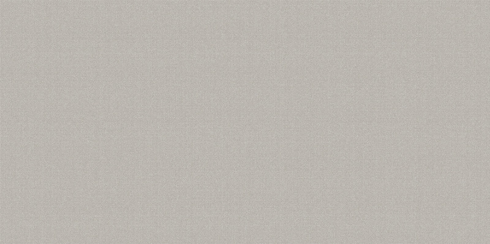 Настенная AltaCera Megapolis Gray WT9MEG15 25x50 8мм матовая Настенная AltaCera Megapolis Gray WT9MEG15 25x50 8мм матовая