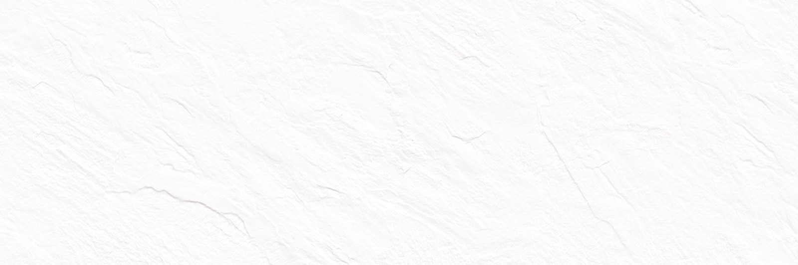 Настенная Delacora Leon White WT15LEN00R 25x74 10мм матовая Настенная Delacora Leon White WT15LEN00R 25x74 10мм матовая