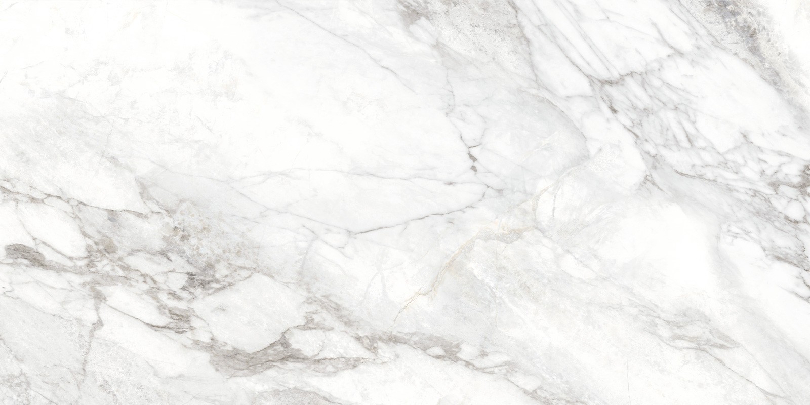 Керамогранит New Trend Bahamas Carrara D120242M 60x120 10мм матовая Керамогранит New Trend Bahamas Carrara D120242M 60x120 10мм матовая