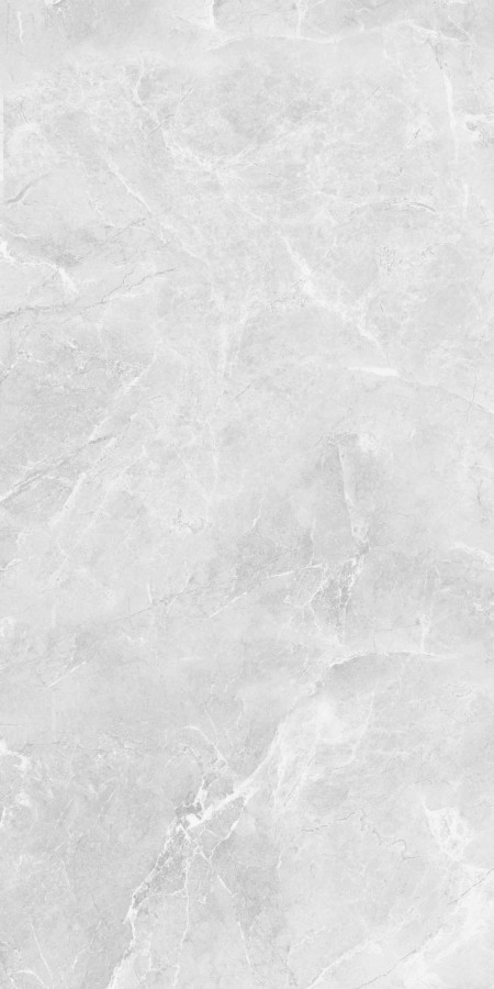 Плитка Belleza 120x60 Ambition CR SILVER CARVING Плитка Belleza 120x60 Ambition CR SILVER CARVING