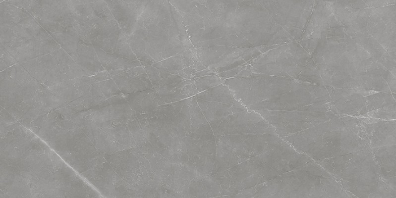 Плитка Laparet Савой настенная тёмно-серый 08-01-06-2460 глазурованная глянцевая 40x20 Плитка Laparet Савой настенная тёмно-серый 08-01-06-2460 глазурованная глянцевая 40x20