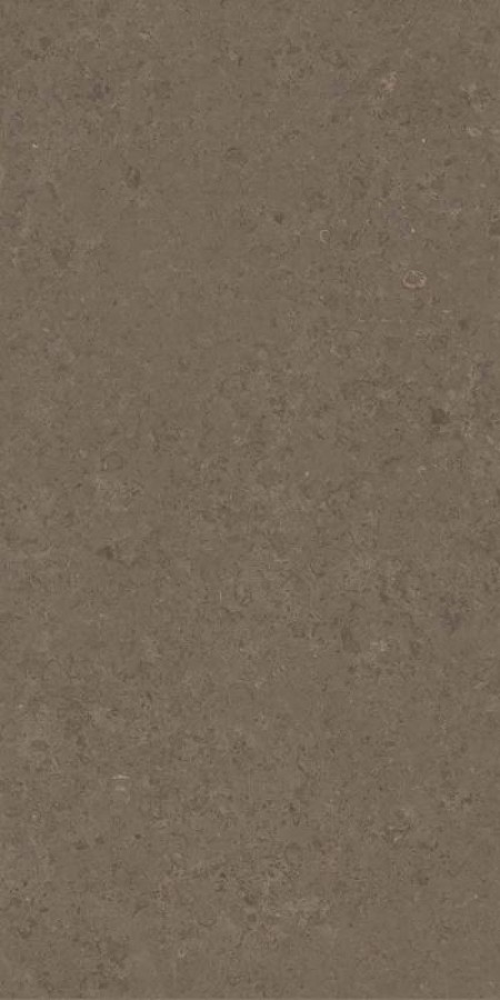 Керамогранит 120x60 Versace V Stone Vstone Brown Lap R 8.5 Мм Керамогранит 120x60 Versace V Stone Vstone Brown Lap R 8.5 Мм